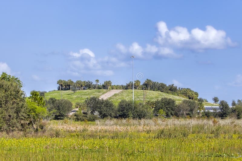 Celery Fields in Sarasota stock image. Image of outdoors 269903111