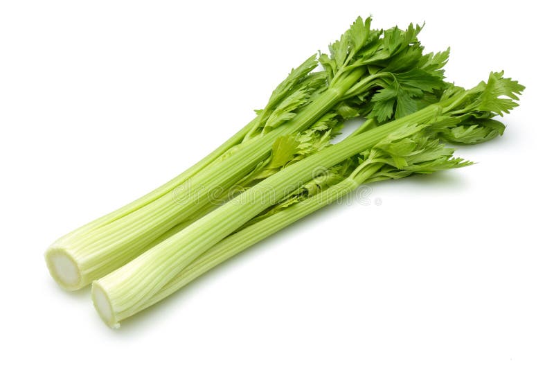 Celery. Isolated on white background royalty free stock photography