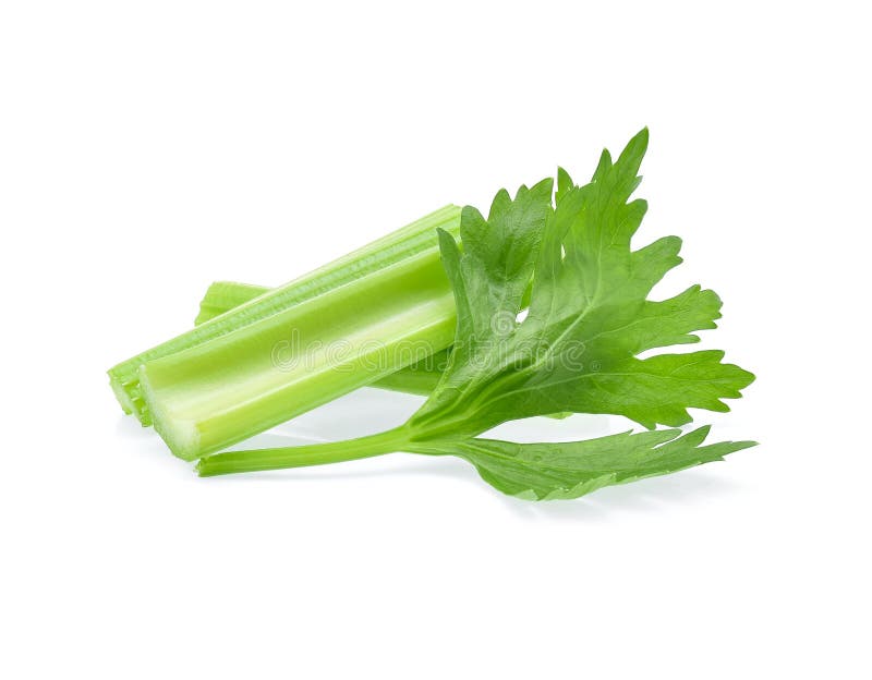 Celery Isolated on White Background Stock Photo - Image of stem ...