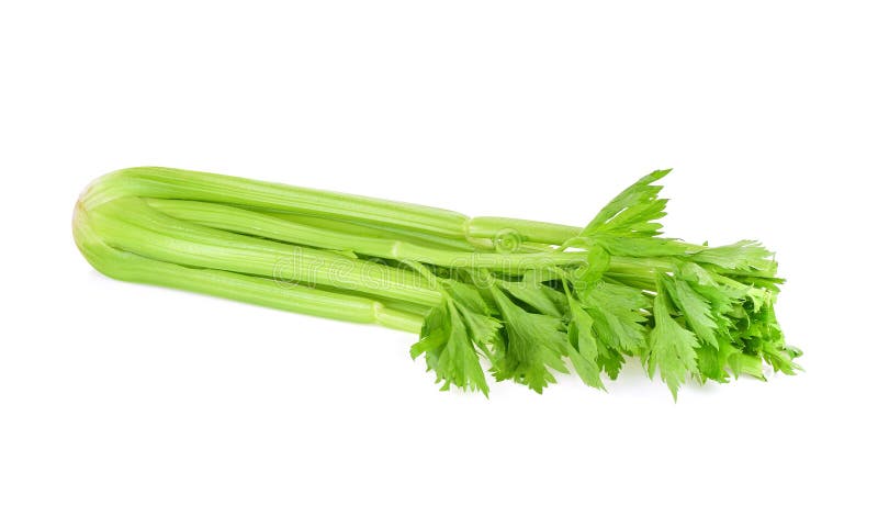 Celery Isolated on White Background Stock Photo - Image of healthy ...