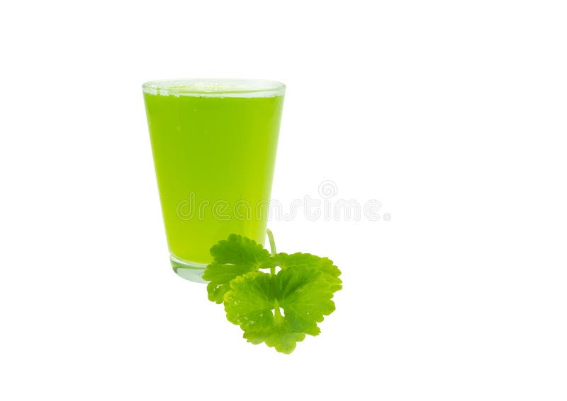 Coriander juice stock image. Image of folic, cilantro 168410109