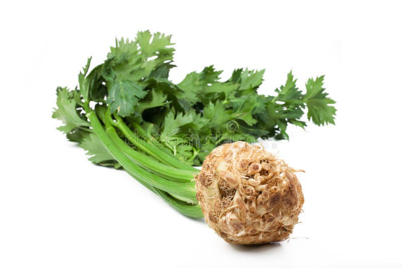 Different Parts of Celery in One Picture. Stock Photo Image of roots