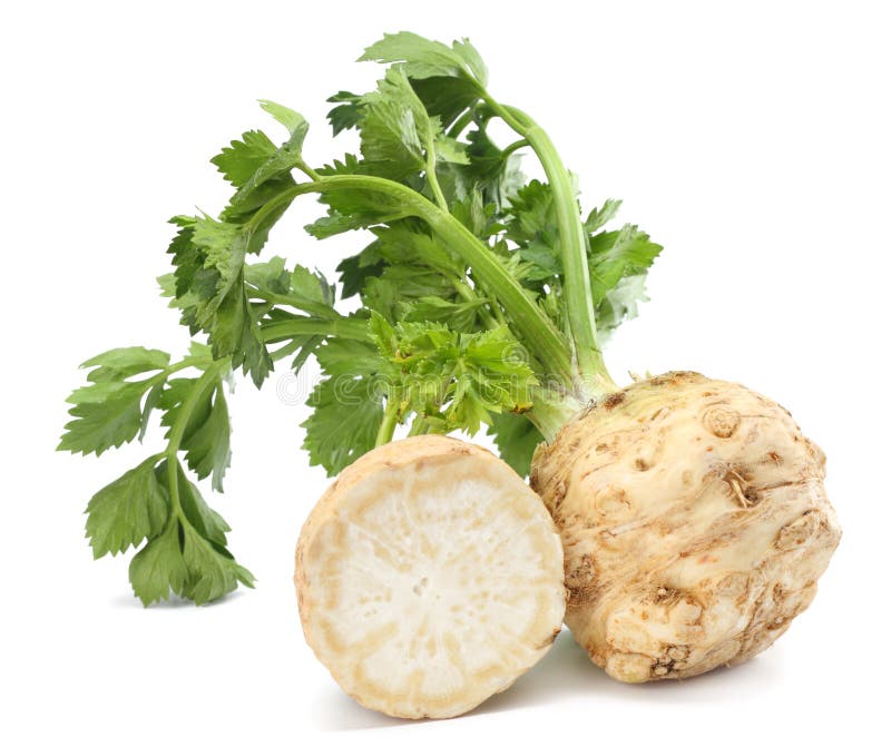 Celery Root with Leaf Isolated on White Background. Celery Isolated on ...