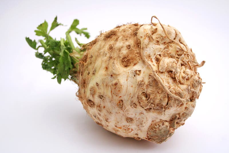 Celery stock images