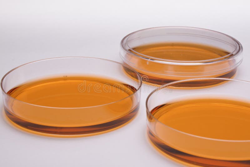 Cell culture dishes stock photo. Image of health, chemistry 15246936