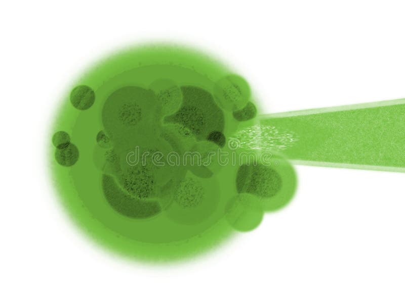 Cella della pianta verde e DNA in ago su bianco illustrazione di stock