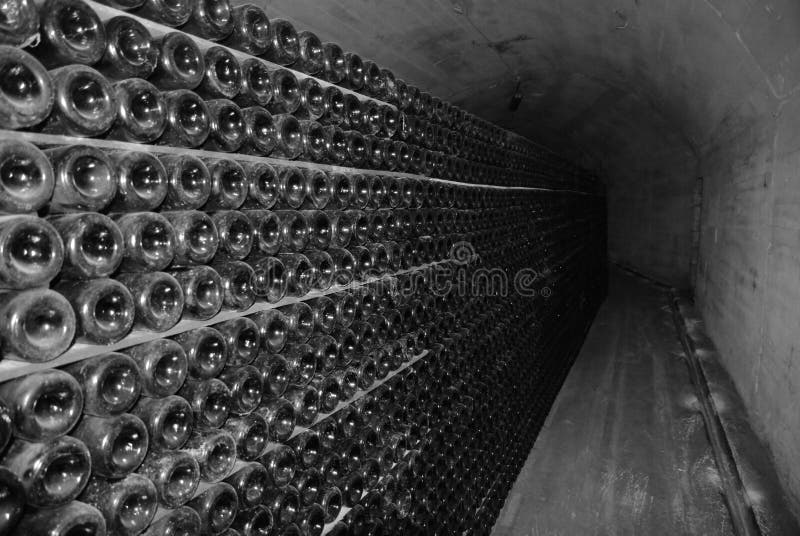 Cellar of Crimean winery on the inside.