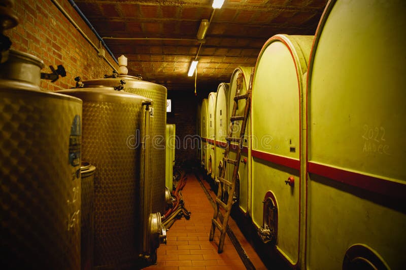 Cellar Room with Concrete Wine Tanks. Stock Photo Image of