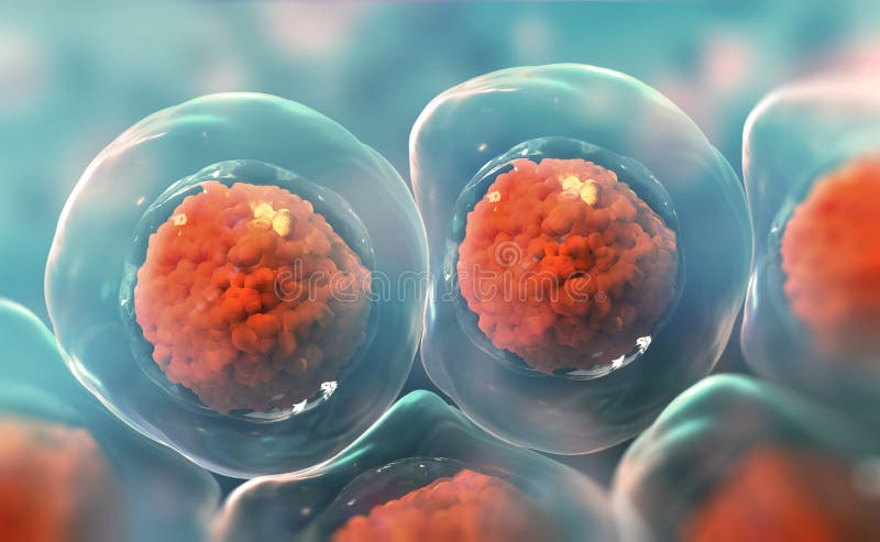 cellen onder een microscoop Onderzoek van stamcellen Cellulaire Therapie De afdeling van de cel