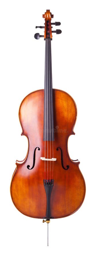 Bella legno violoncello isolato su sfondo bianco.