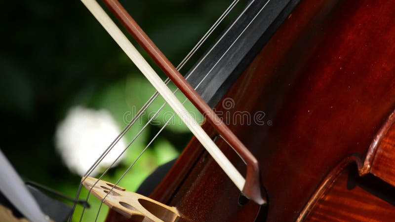 Cello or violoncello in a concert stock footage
