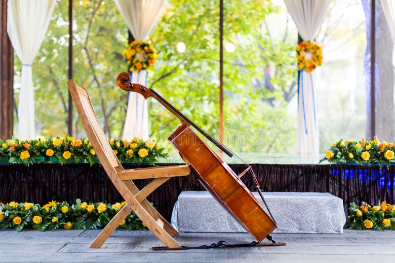 Cello at wedding stock photo. Image of horizontal, elegance 35835728