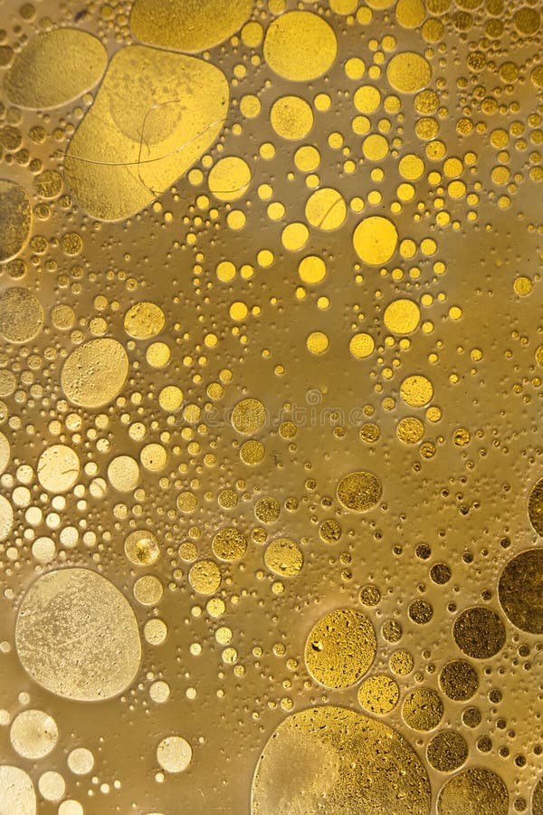 Cells stock images Cells stock images