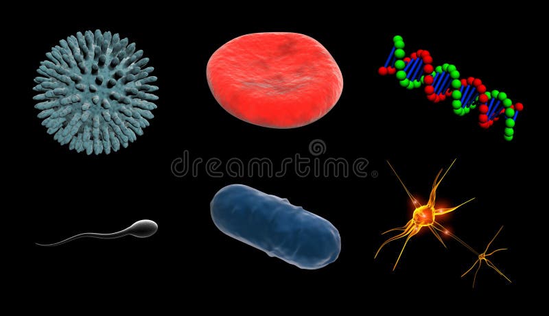 Cell of virus, blood cell, dna, sperm cell, bacterium cell, nerve cell. Cell of virus, blood cell, dna, sperm cell, bacterium cell, nerve cell