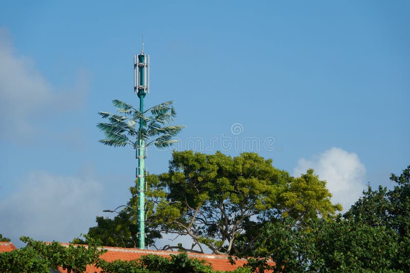 Cellular Tower among the Trees on the Island Stock Image - Image of