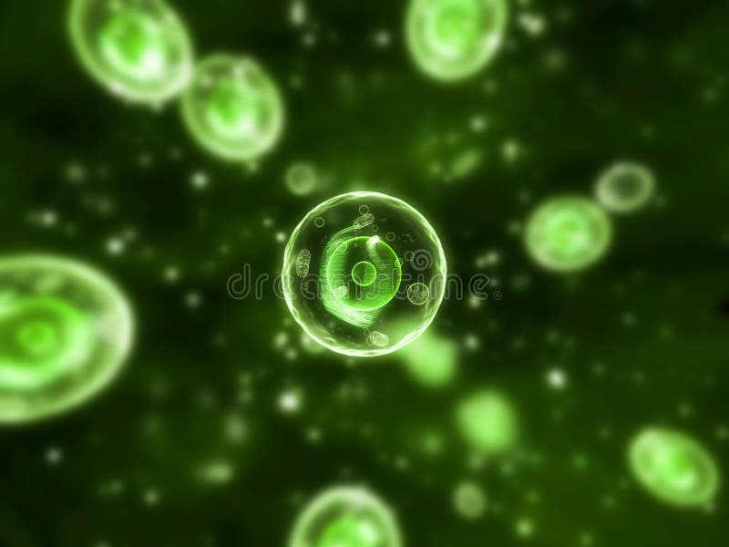 Cellules humaines illustration stock Cellules humaines illustration stock