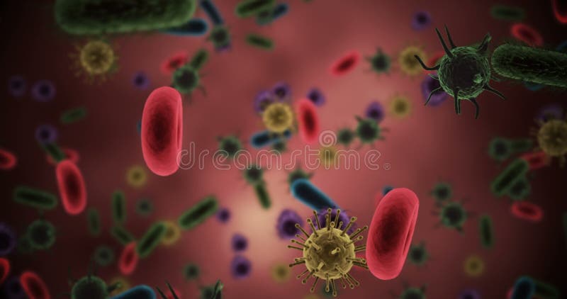Celule virale generate digital celule roșii din sânge și bacterii pe fond roșu vector illustration