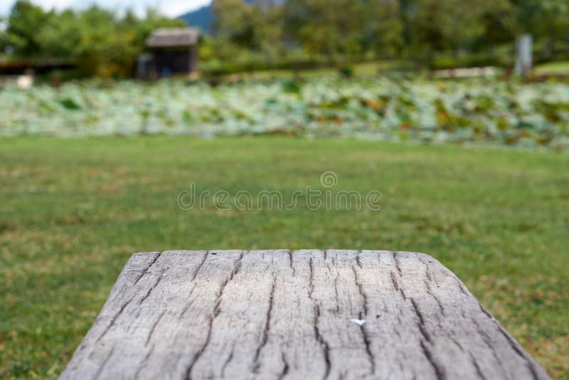 Cement Bench In Wood Like Surface With Blur Garden Background Stock