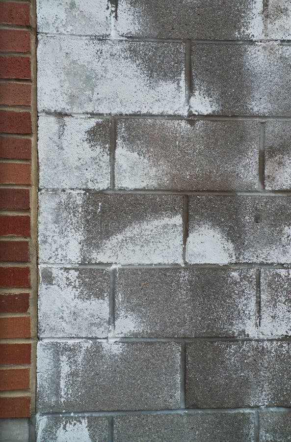 Cement Block Wall with Brick Edge Stock Photo - Image of paint, gray