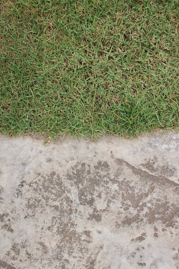 Cement floor and grass stock image. Image of green, black 60034709
