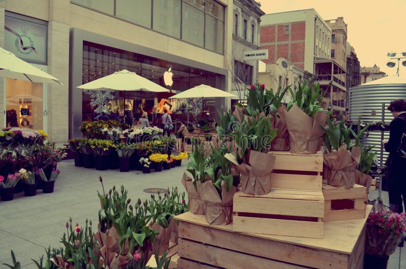 Cement Flowers editorial photo. Image of splash, cement 44414666