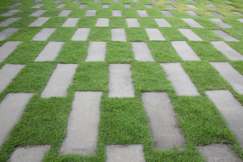The Cement Tiles between Green Grass Background Stock Image Image of