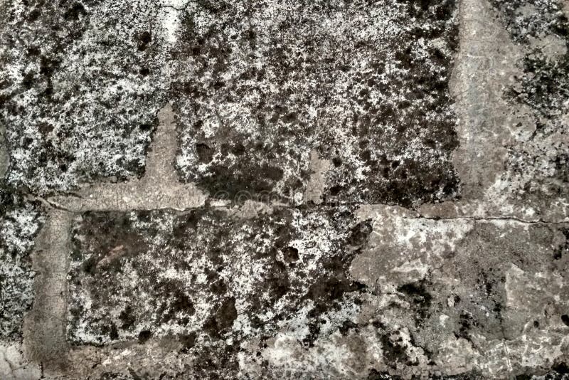 Cement Wall Texture for Background and Design Art Work Stock Image