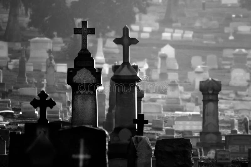 Misty cemetary at dawn featuring headstones and memorials. All names have been obscured. Misty cemetary at dawn featuring headstones and memorials. All names have been obscured.