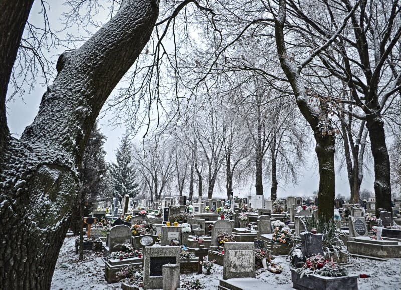 Cemetery in winter-time: frost-covered trees, tombstones, flowers and wreaths in front of a misty, hazy background create a gloomy, melancholy atmosphere. Cemetery in winter-time: frost-covered trees, tombstones, flowers and wreaths in front of a misty, hazy background create a gloomy, melancholy atmosphere.