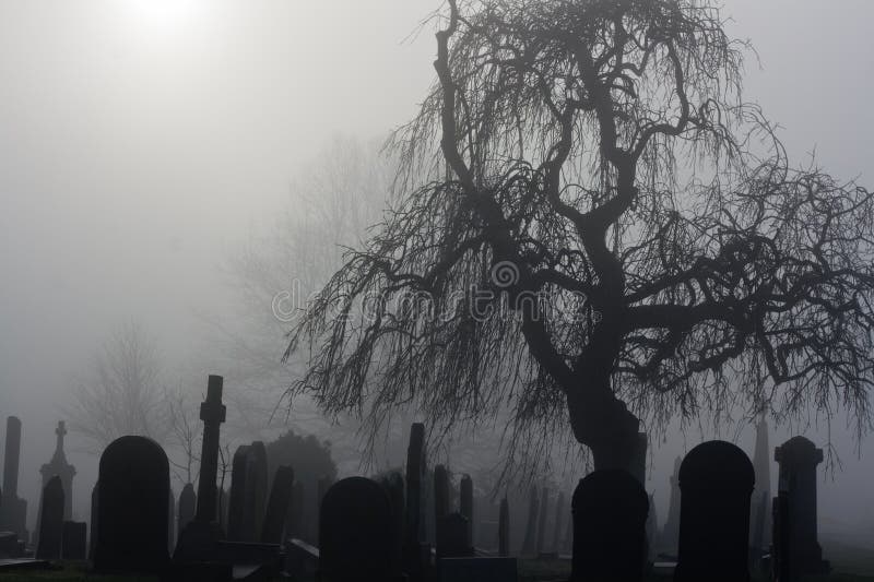 Spooky old cemetery on a foggy day. Spooky old cemetery on a foggy day