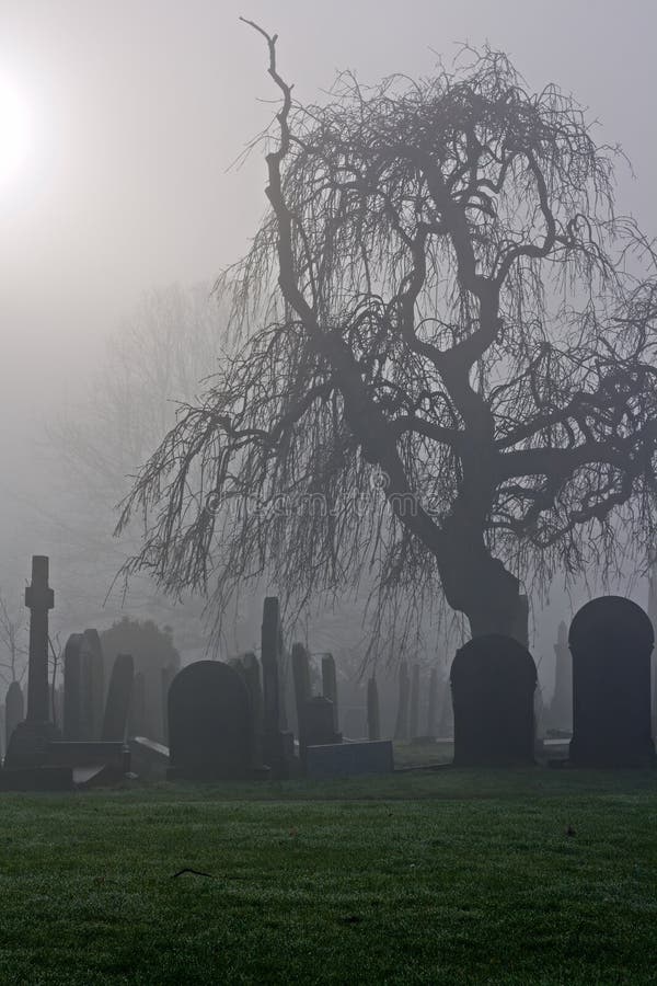 Spooky old cemetery on a foggy day. Spooky old cemetery on a foggy day