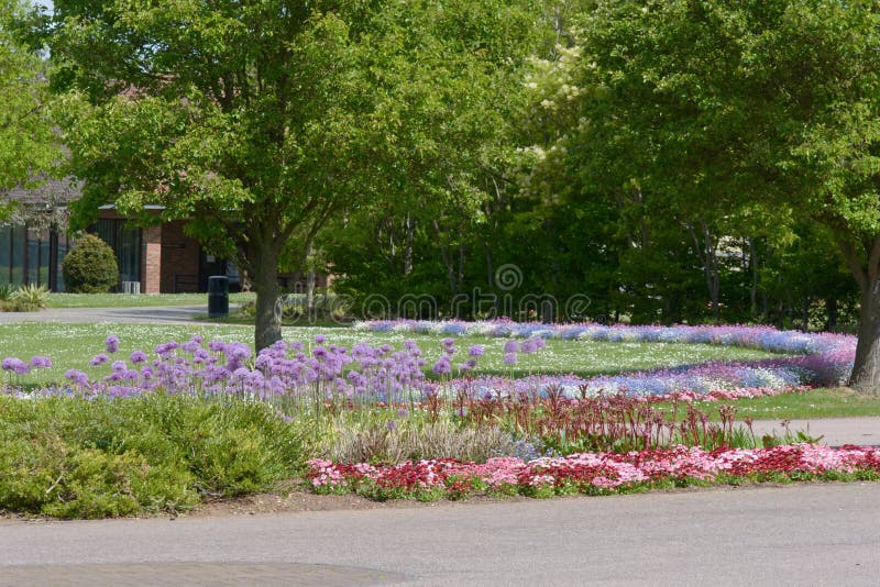 Cemetery flower beds stock photo. Image of pink, plants 56613020