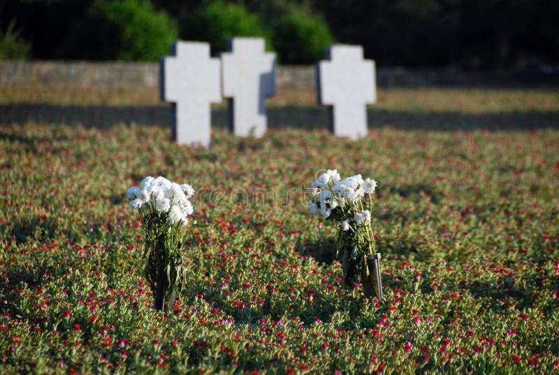 Cemetery flowers stock image. Image of green, flower 21262129
