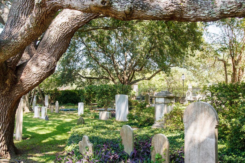 Cemetery Under Old Oak Tree Stock Photo Image 31491290