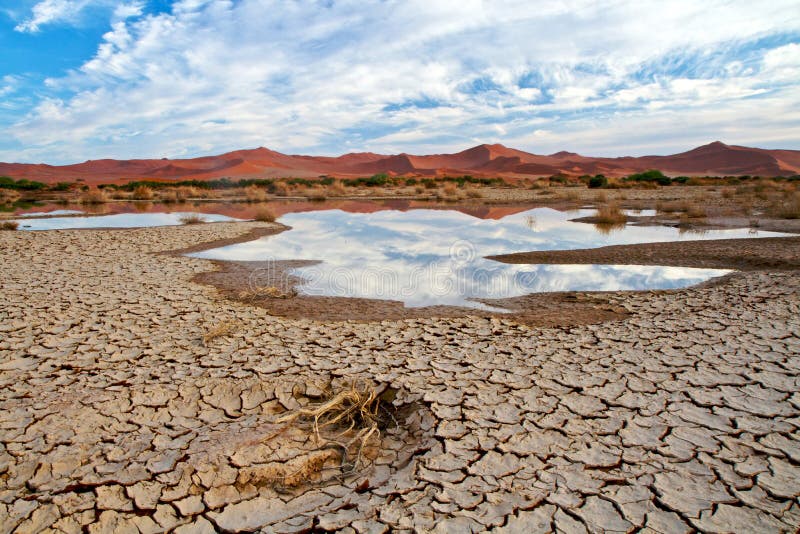 Cena do deserto com água
