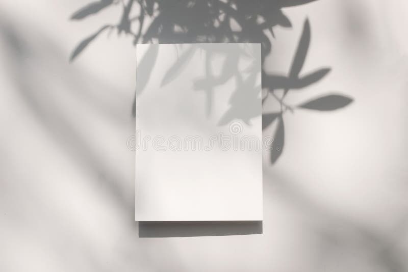 Cena do mckup de papelaria de verão. cartão de saudação vertical em branco com folha de oliveira e cobertura sombra de ramos. bege