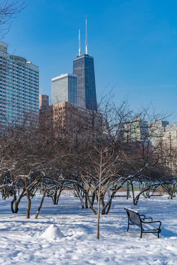 Cena do parque do inverno com o banco em Jane Addams Memorial Park em Chicago imagem de stock Cena do parque do inverno com o banco em Jane Addams Memorial Park em Chicago imagem de stock