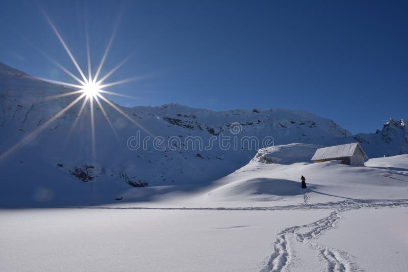 Cena em Romênia, paisagem bonita do inverno de montanhas Carpathian selvagens imagens de stock royalty free Cena em Romênia, paisagem bonita do inverno de montanhas Carpathian selvagens imagens de stock royalty free