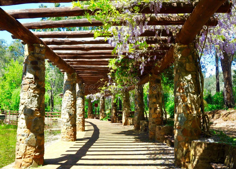 Cenador con glicinia púrpura imponente: Parque botánico de Araluen, Australia occidental foto de archivo