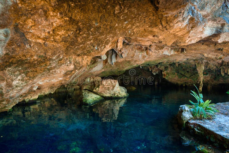 Cenote DOS Ojos royaltyfri bild Cenote DOS Ojos royaltyfri bild
