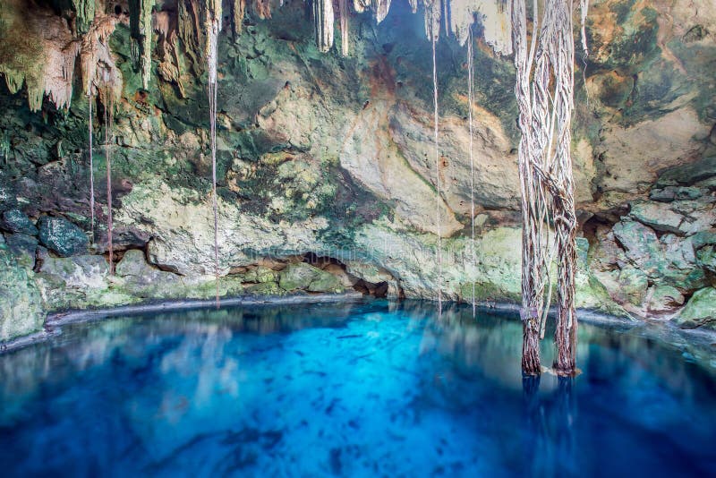 Cenote De Cuzama, Iucatão, México Imagem de Stock Imagem de marco