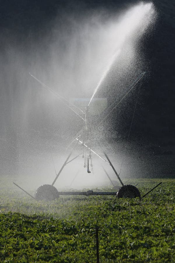 1+ Pivot irrigation new zealand Free Stock Photos StockFreeImages