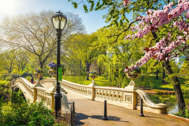 Central Park in primavera, New York fotografia stock