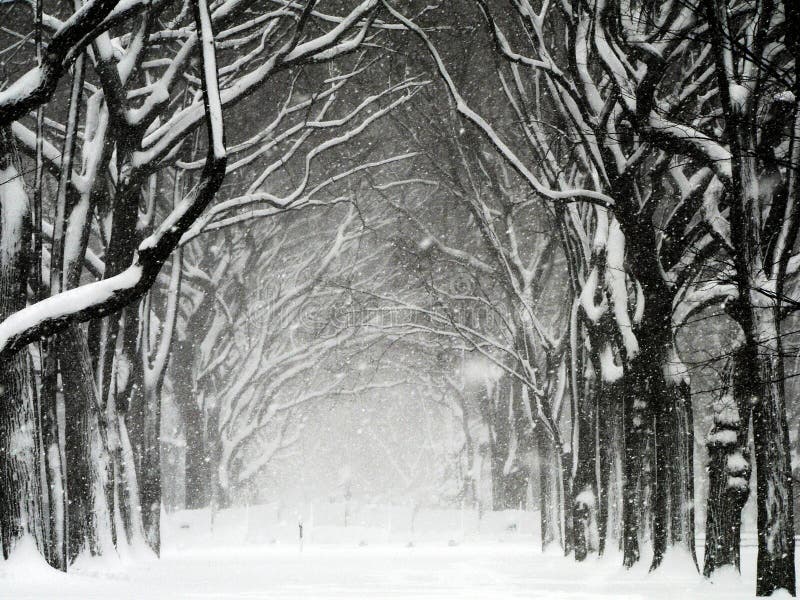 Central Park Blizzard 01 stock photography Central Park Blizzard 01 stock photography