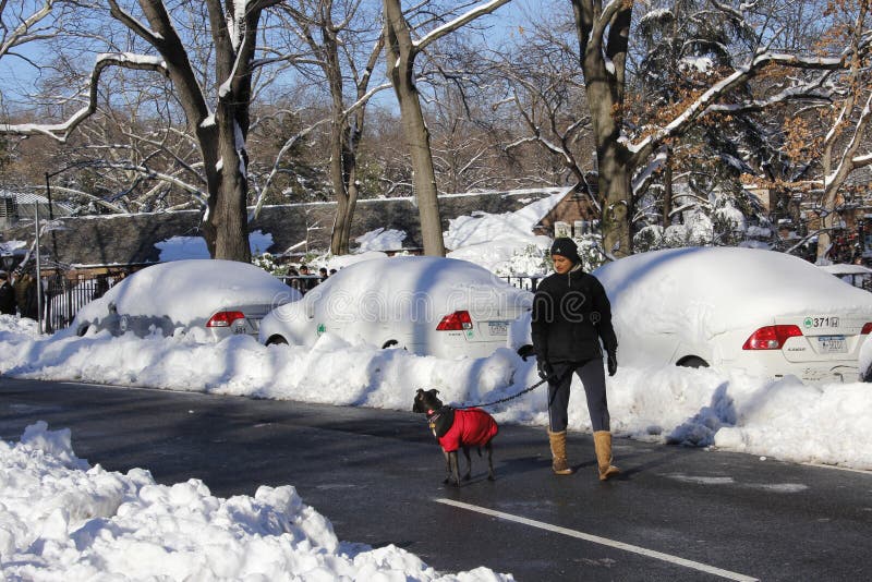 Central Park Della Passeggiata Del Cane Immagine Stock Editoriale