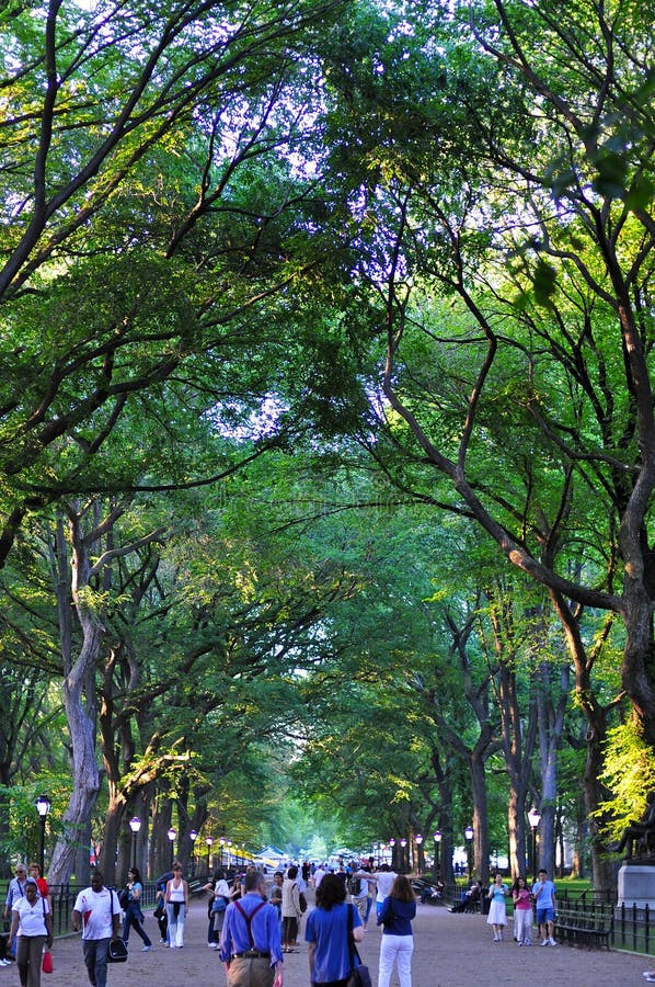 Central Park di estate, New York, U.S.A. fotografia stock libera da diritti Central Park di estate, New York, U.S.A. fotografia stock libera da diritti