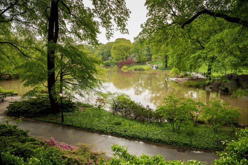 Central Park efter ett ljust regn i New York royaltyfria bilder Central Park efter ett ljust regn i New York royaltyfria bilder