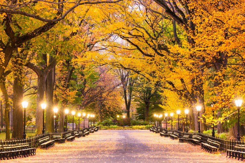 Central Park en New York City