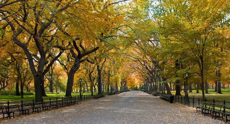 New York City Central Park Alley in the Fall. Stock Photo - Image of ...
