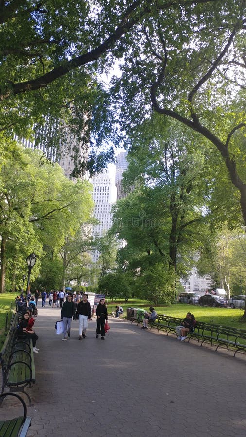 Central Park New York Buildings View between a Park Trees Editorial Photography Image of view